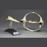 Фігурка HASBRO STAR WARS KIT FITSO'S JEDI STARFIGHTER WITH HYPERDRIVE RING