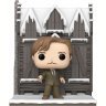 Фігурка Funko Harry Potter: Hogsmeade - Remus Lupin with Shrieking Shack фанко Римус Люпін 156