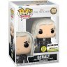 Фігурка Funko Netflix Відьмак (Witcher) фанко Geralt Геральт (Glow in The Dark, Amazon Exclusive) 1322