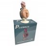 Плюмбус Солонка и Перечница Рик и Морти 8'' Plumbus 2 in 1 Salt and Pepper Shakers