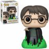 Фігурка Funko Pop Harry Potter with floo powder (GLOW) фанко Гаррі Поттер (Funko Exclusive) 153