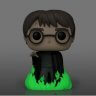 Фігурка Funko Pop Harry Potter with floo powder (GLOW) фанко Гаррі Поттер (Funko Exclusive) 153