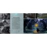 Артбук книга Art of Hearthstone Year of the Raven Volume 4 (Тверда палітурка) (Eng) том 4