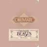 Блокнот Fantastic Beasts and Where to Find Them: Obliviate Ruled Pocket (Insights Journals)