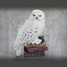 Статуэтка Harry Potter Noble Collection - Magical Creatures No. 1 - Hedwig Гарри Поттер Букля Сова